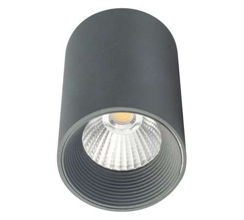 Накладной светильник Escada 20003SMU/01LED SGY 20003