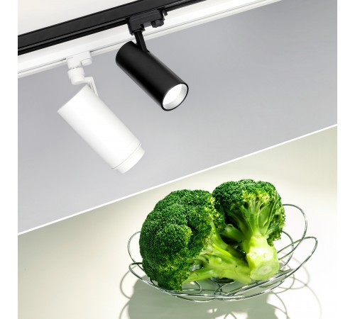 Светильник на штанге Arlight 032454 ZEUS FOOD