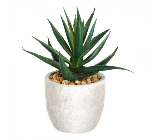 Растение в горшке (100x155) Chitose 428012