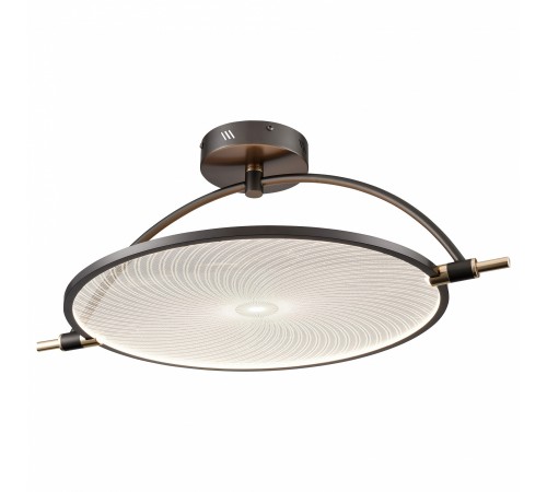 Светильник на штанге Wertmark WE430.03.027 Laura