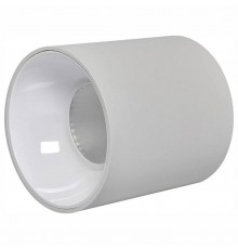 Накладной светильник iLedex 116-12W-D75-4K-36DG-WH Metrica