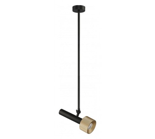 Светильник на штанге iLedex Technical 2361-1 BK+BR Delta