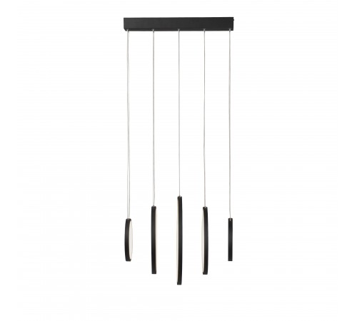 Подвесной светильник Vitaluce V2531-1/5S V2531