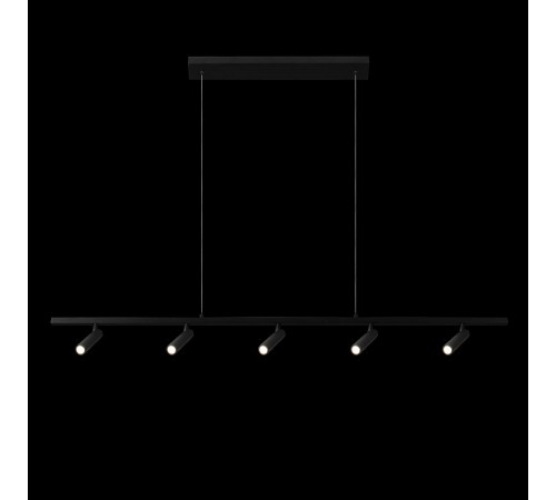 Подвесной светильник Loft it 10260/5 Black Sign