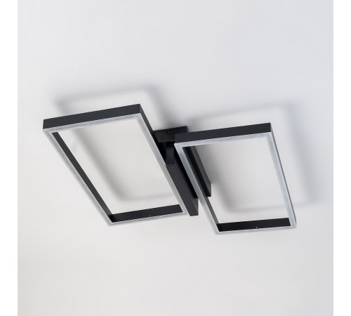 Накладной светильник Escada 10209/2LED Black Scales