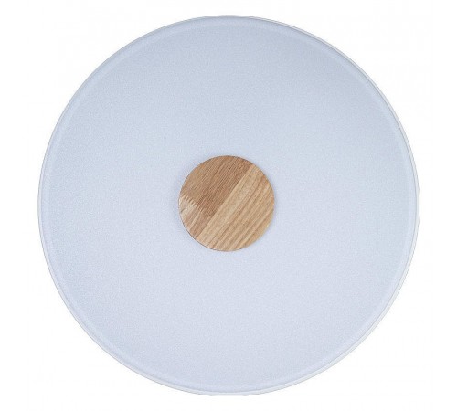 Накладной светильник Loft it 10003/24 White Axel 2