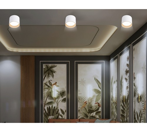 Накладной светильник Ambrella Light TN5304 TN