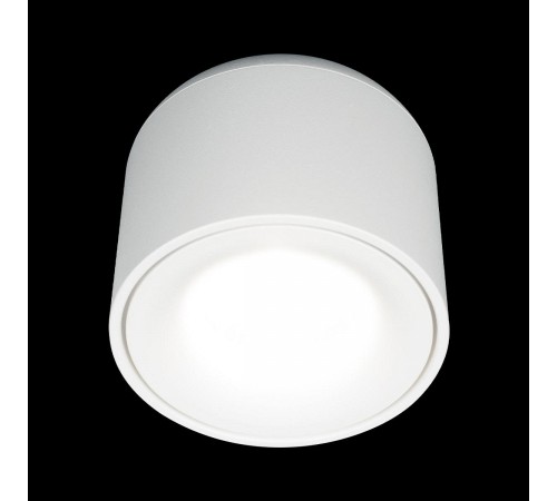 Накладной светильник Loft it 10219 White 4000K Tictac