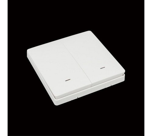 Выключатель беспроводной двухклавишный Aployt APL.0190.00.02 Magnetic track 220