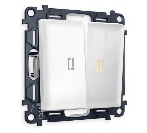 Выключатель двухклавишный с подсветкой без рамки Ambrella Volt MA104010 Quant