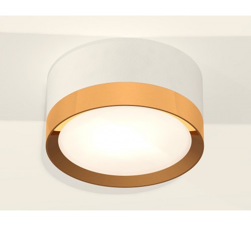 Накладной светильник Ambrella Light XS8101005 XS