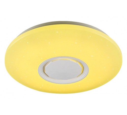 Накладной светильник Ambrella Light FF201 FF