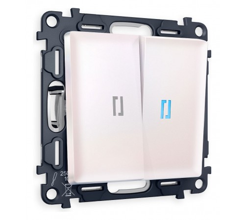 Выключатель двухклавишный с подсветкой без рамки Ambrella Volt MA204020 Quant