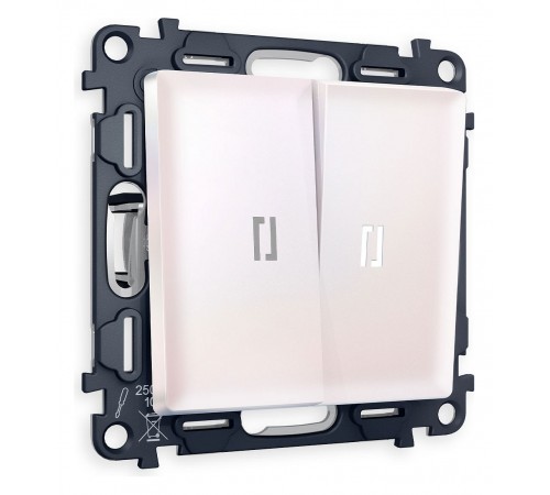 Выключатель двухклавишный с подсветкой без рамки Ambrella Volt MA204015 Quant