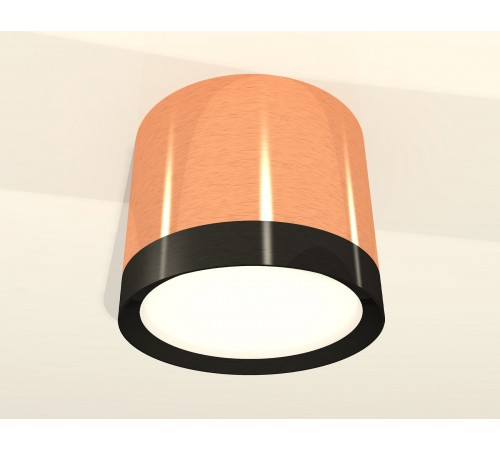 Накладной светильник Ambrella Light XS8122001 XS