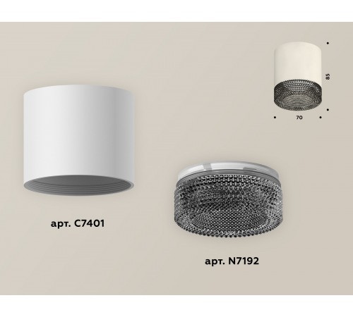 Накладной светильник Ambrella Light XS7401021 XS