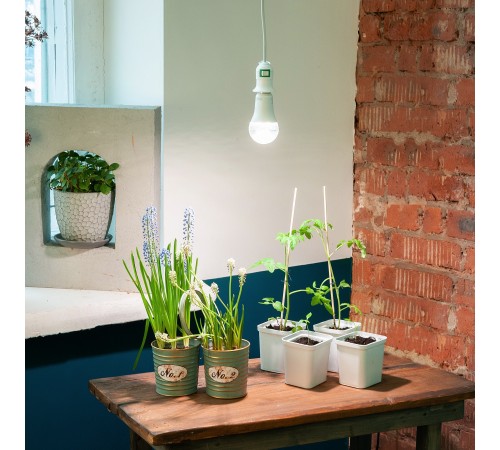 Подвесной светильник Uniel UL-00009249 DLC-P