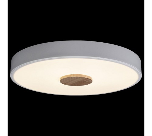 Накладной светильник Loft it 10003/24 White Axel 2