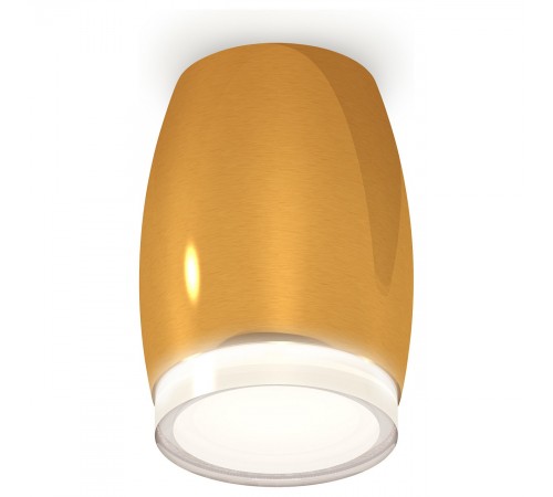 Накладной светильник Ambrella Light XS1125021 XS