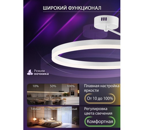 Светильник на штанге Natali Kovaltseva LED LAMPS 81121/1C FINAM