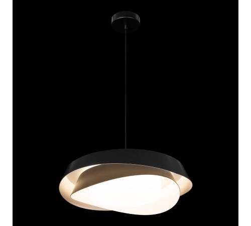 Подвесной светильник Loft it 10256P Black Petale