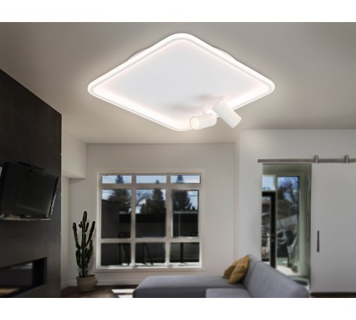 Накладной светильник Ambrella Light FL5114 FL