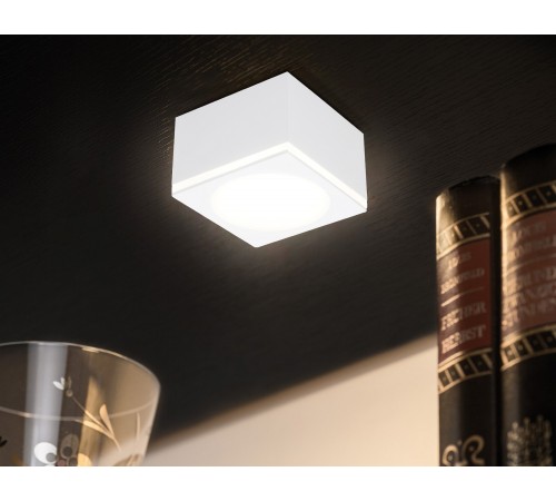 Накладной светильник Ambrella Light TN266 TN