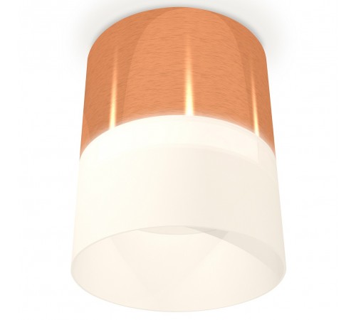 Накладной светильник Ambrella Light XS8122011 XS