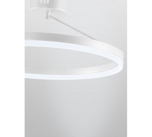 Светильник на штанге Natali Kovaltseva LED LAMPS 81121/1C FINAM