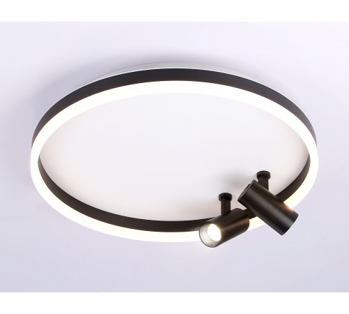 Накладной светильник Ambrella Light FL5113 FL