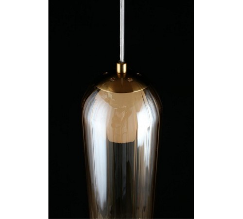 Подвесной светильник Aployt APL.325.26.01 Arian