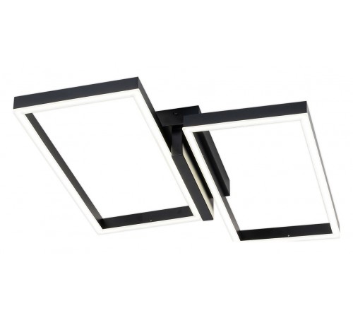 Накладной светильник Escada 10209/2LED Black Scales