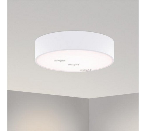 Накладной светильник Arlight 022103(1) SP-TOR-PILL-R400-25W Warm3000 (WH, 120 deg)