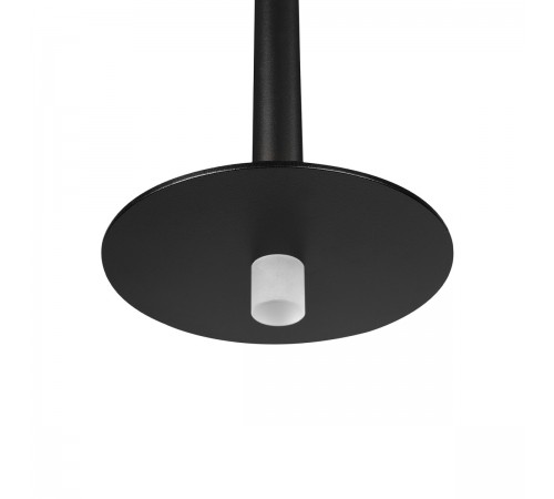 Подвесной светильник Loft it 10358/830 Disk Reed