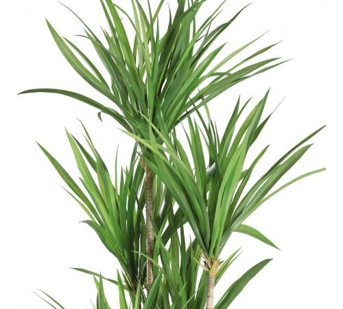 Растение в горшке (600x1200) Yubetsu 428018