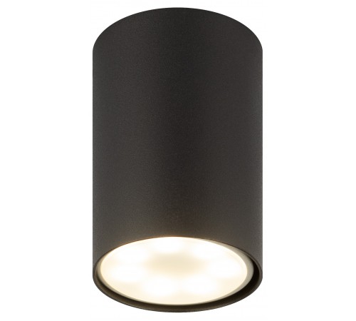 Накладной светильник Эра OL57 BK