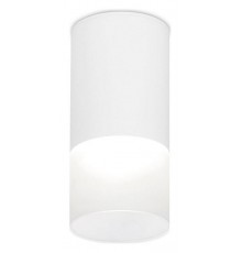 Накладной светильник Ambrella Light TN231 TN