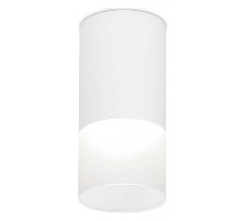 Накладной светильник Ambrella Light TN231 TN