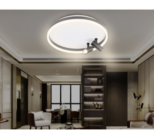 Накладной светильник Ambrella Light FL5113 FL