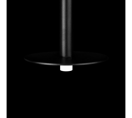 Подвесной светильник Loft it 10358/830 Disk Reed