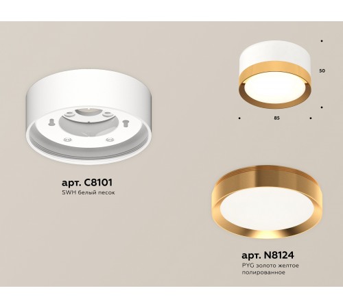 Накладной светильник Ambrella Light XS8101005 XS