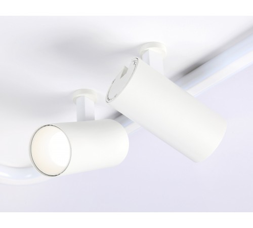 Накладной светильник Ambrella Light FL5114 FL