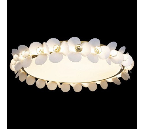 Накладной светильник Loft it 10176 Bride