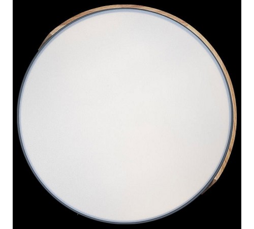 Накладной светильник Loft it 10004/36 Grey Axel 3