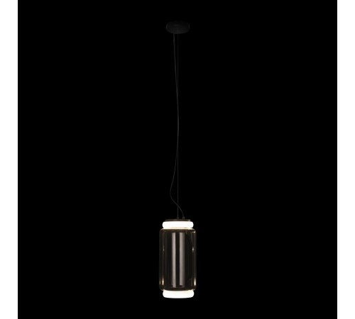 Подвесной светильник Loft it 10194/S Noctambule