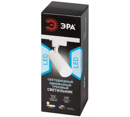 Светильник на штанге Эра TR59 - 3030 WH