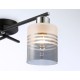 Накладной светильник Ambrella Light TR303211 TR