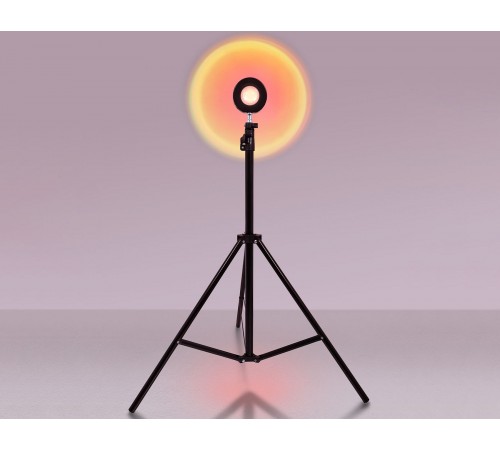 Настольная лампа декоративная Ambrella Light DE8387 DE