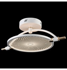 Светильник на штанге Wertmark WE430.01.007 Laura