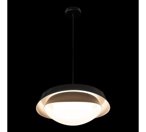 Подвесной светильник Loft it 10256P Black Petale